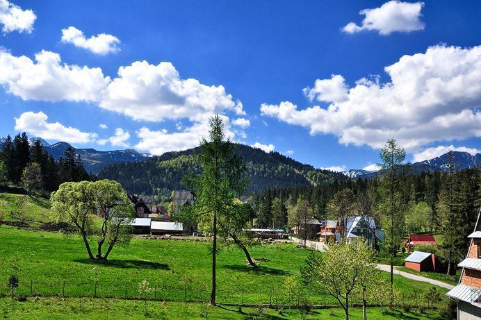 Pokoje Goscinne U Marysi Zakopane Exterior photo